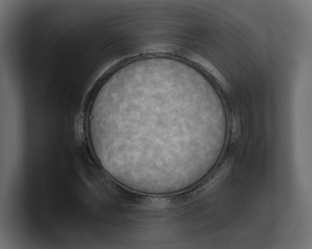 X0000100480878200806271200