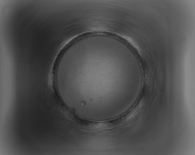 X0000100480879200806271200