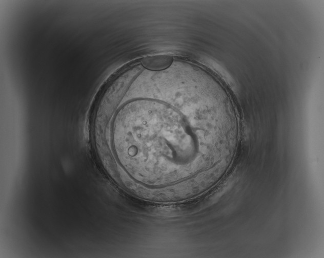 X0000100480883200806271200