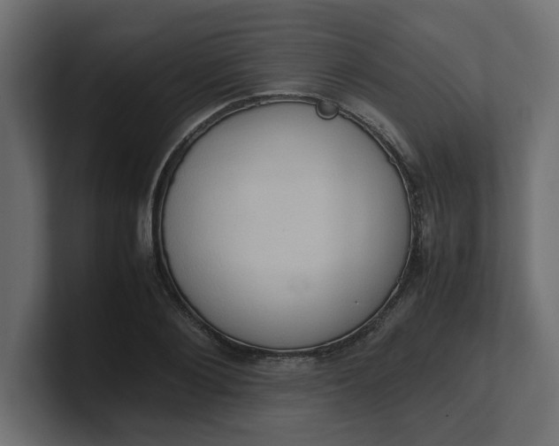 X0000100480884200806271200