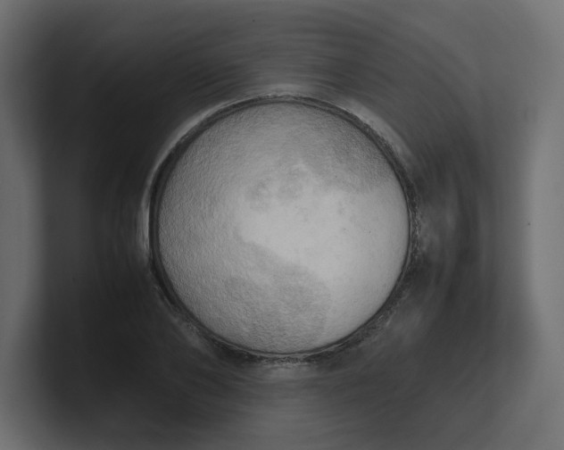 X0000100480886200806271200