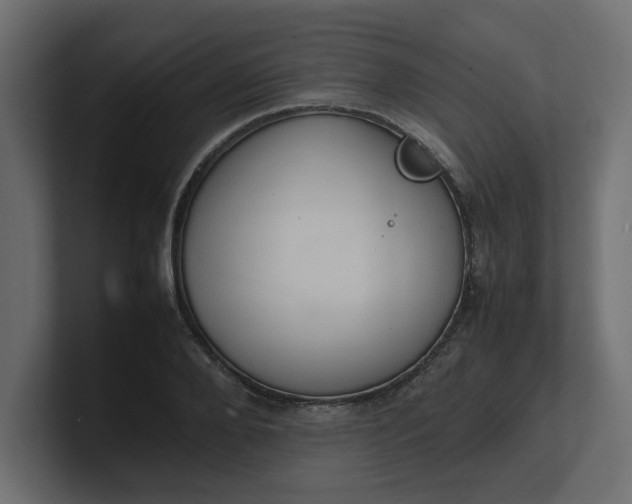 X0000100480888200806271200