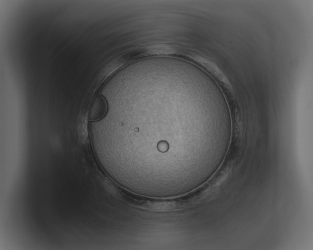 X0000100480889200806271200