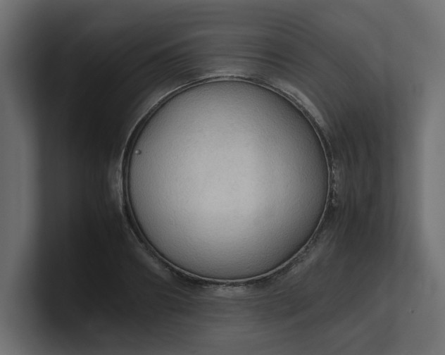 X0000100480890200806271200