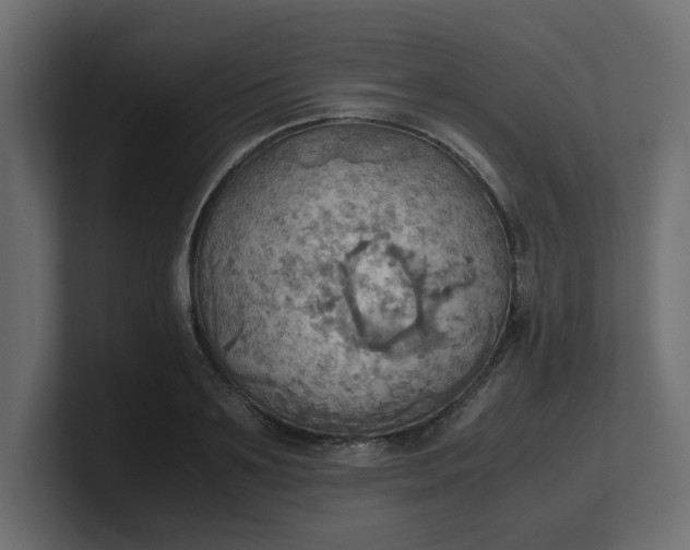 X0000100480891200806271200