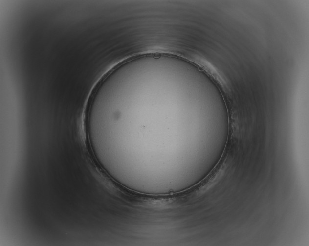 X0000100480892200806271200