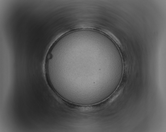 X0000100480893200806271200