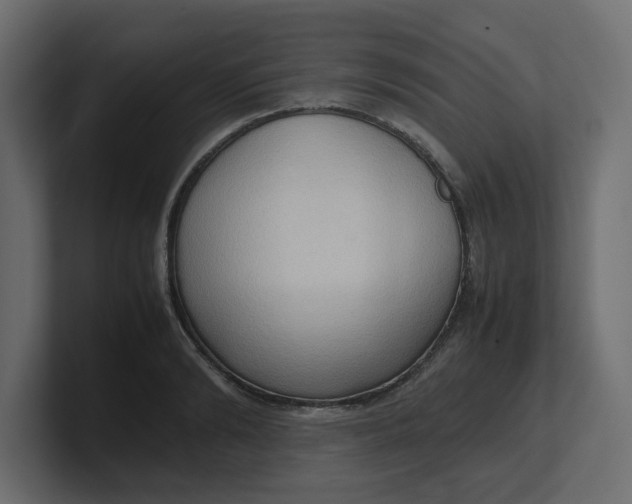 X0000100480894200806271200