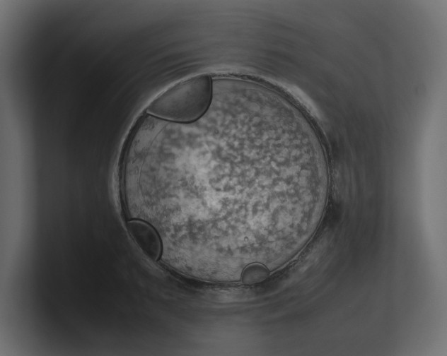 X0000100480895200806271200