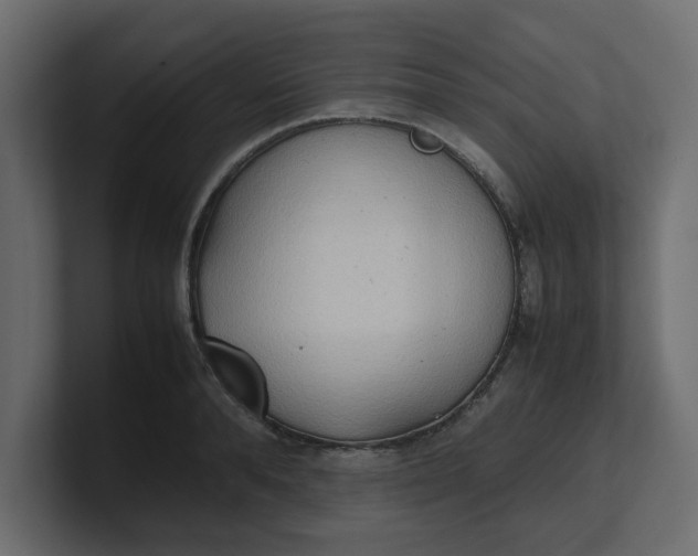 X0000100480896200806271200