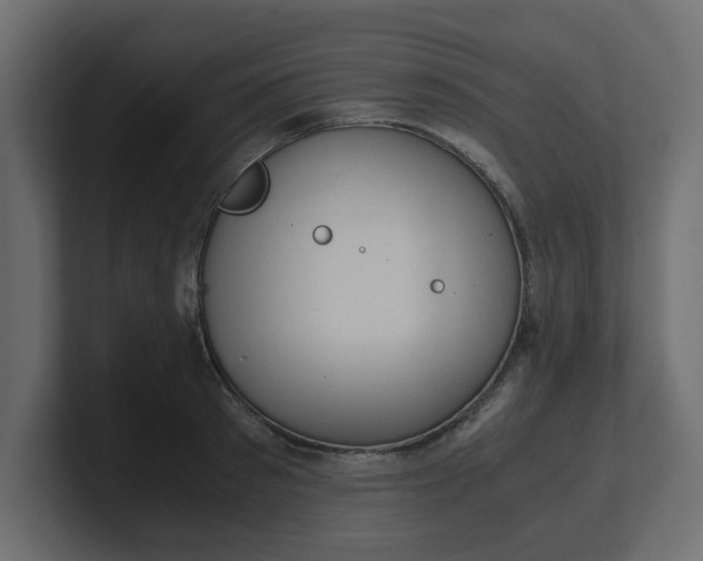 X0000100480897200806271200