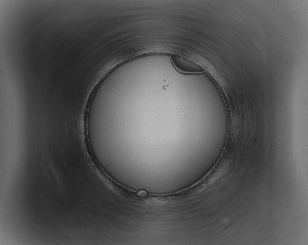 X0000100480898200806271200