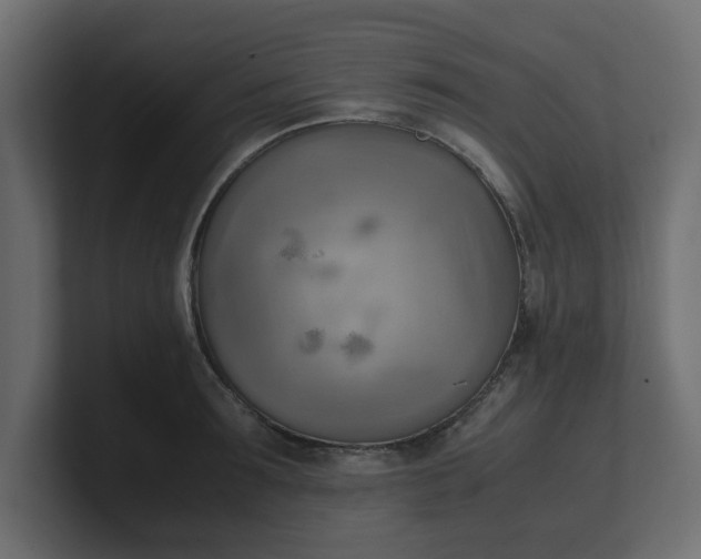 X0000100480899200806271200