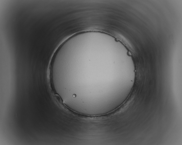 X0000100480900200806271200