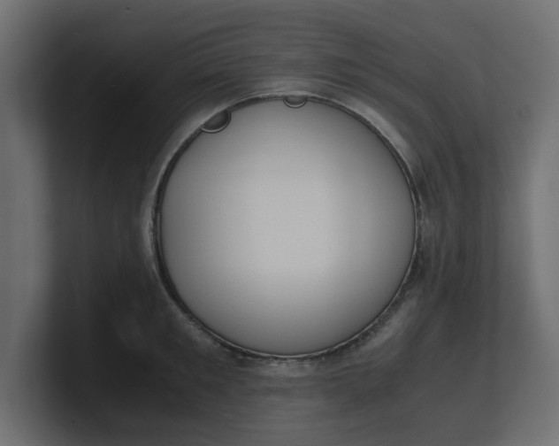 X0000100480901200806271200