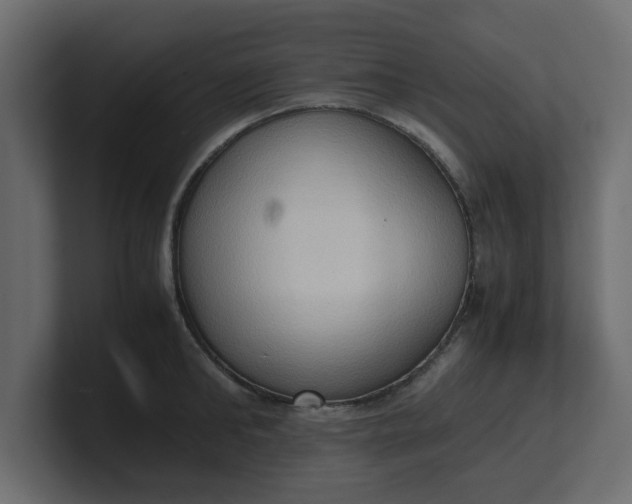 X0000100480902200806271200