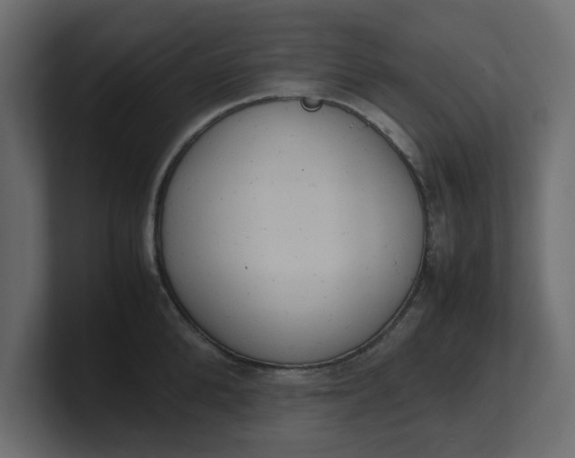 X0000100480904200806271200