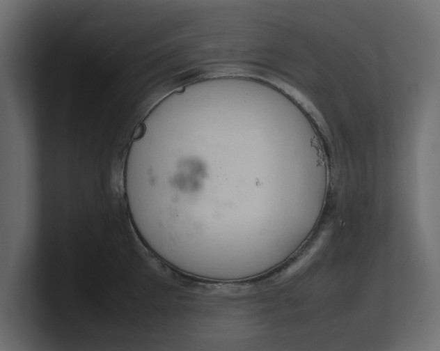 X0000100480905200806271200