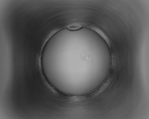X0000100480906200806271200