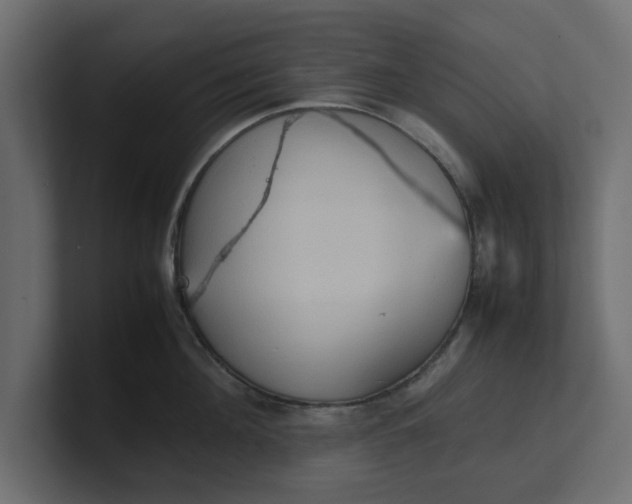 X0000100480908200806271200