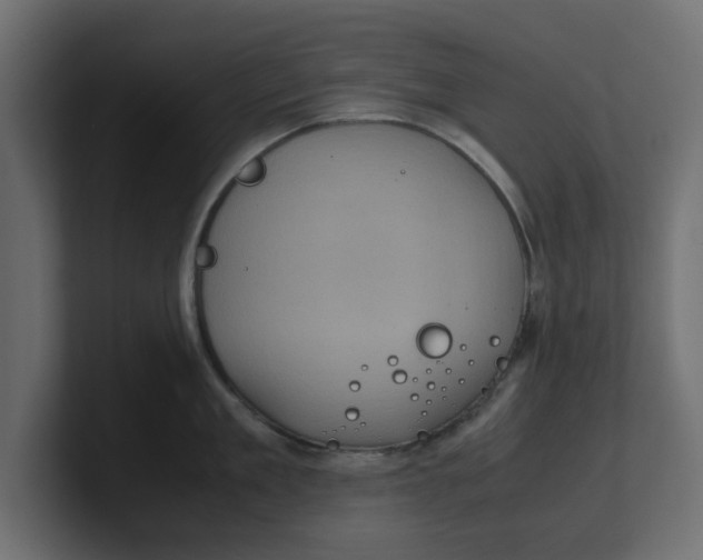 X0000100480909200806271200