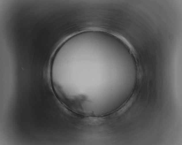 X0000100480910200806271200
