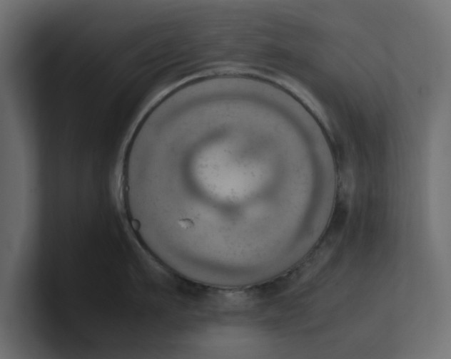 X0000100480911200806271200