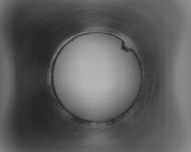 X0000100480912200806271200