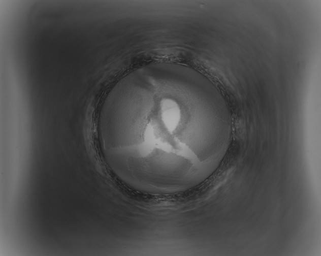X0000100480913200806271159