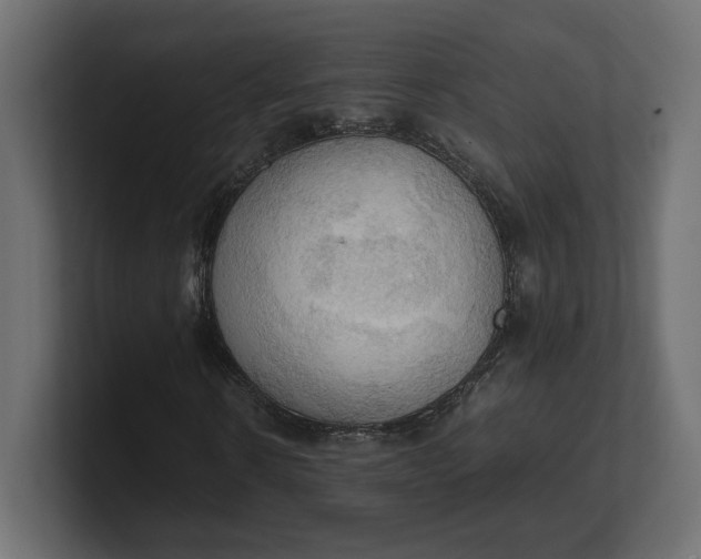 X0000100480914200806271159
