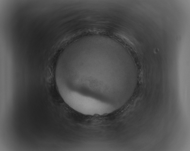 X0000100480917200806271159