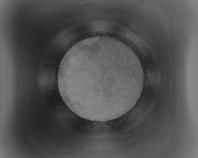 X0000100480918200806271159