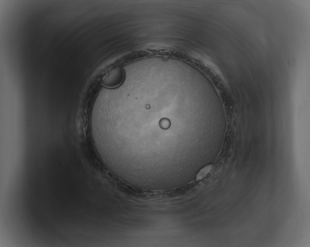 X0000100480920200806271159
