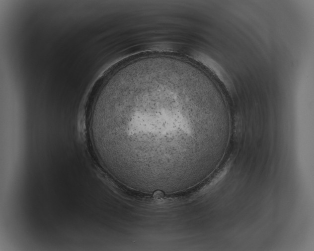 X0000100480923200806271159