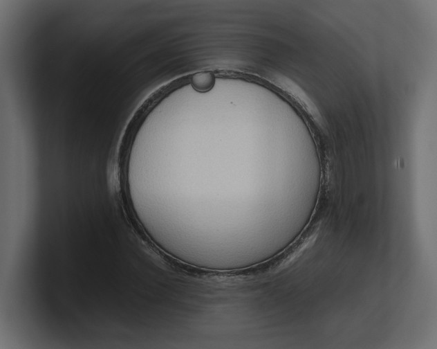 X0000100480924200806271159