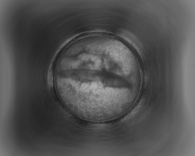 X0000100480925200806271159