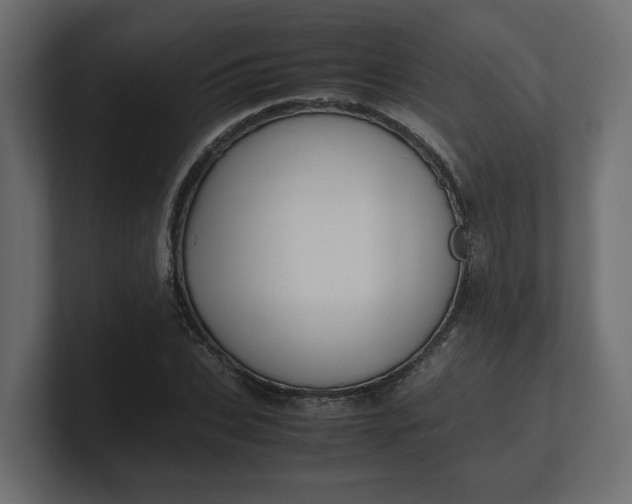 X0000100480927200806271159
