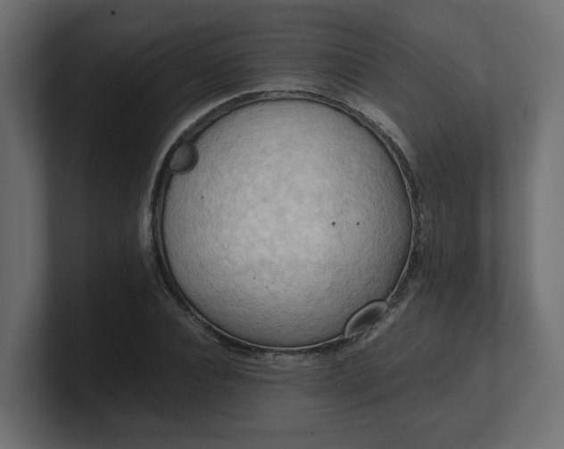 X0000100480928200806271159
