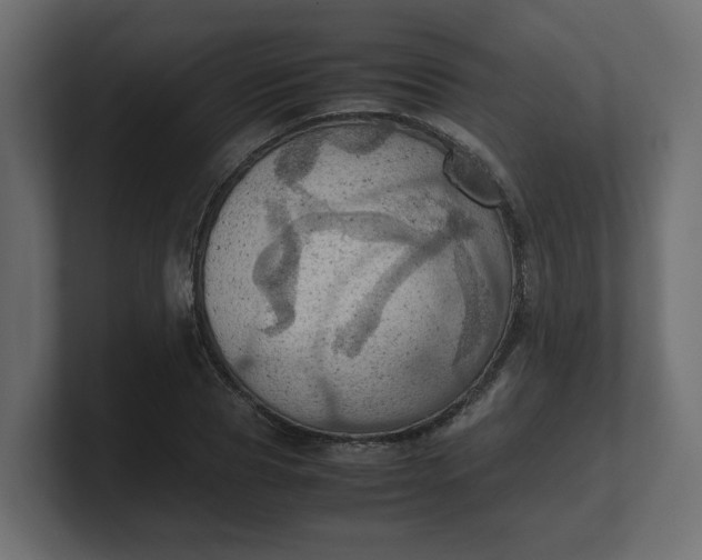 X0000100480929200806271159