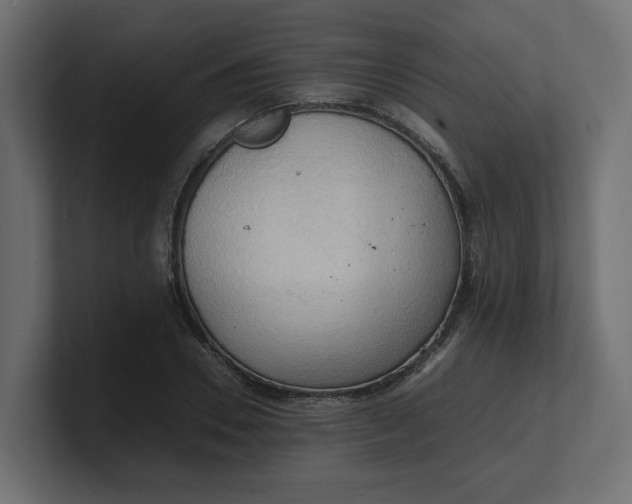 X0000100480930200806271159