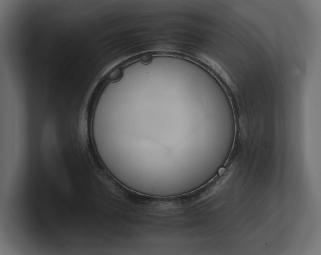 X0000100480931200806271159