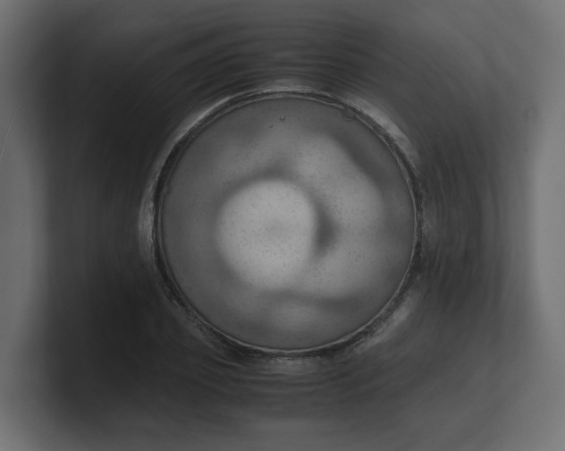 X0000100480933200806271159