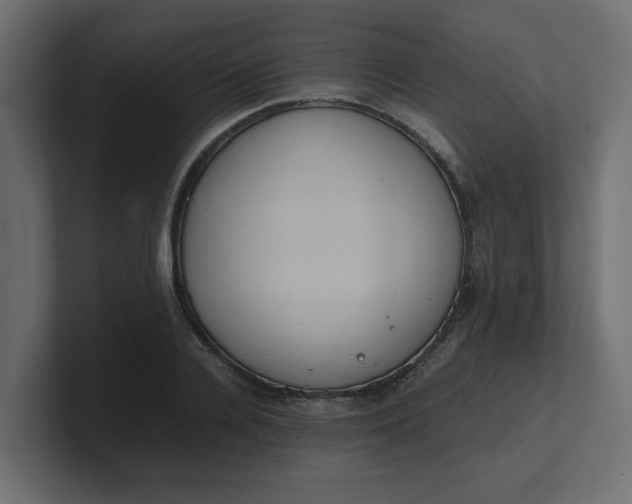 X0000100480936200806271159