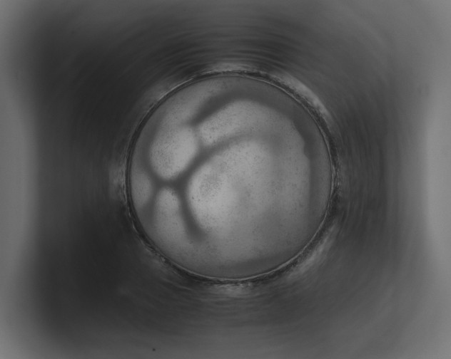 X0000100480937200806271159