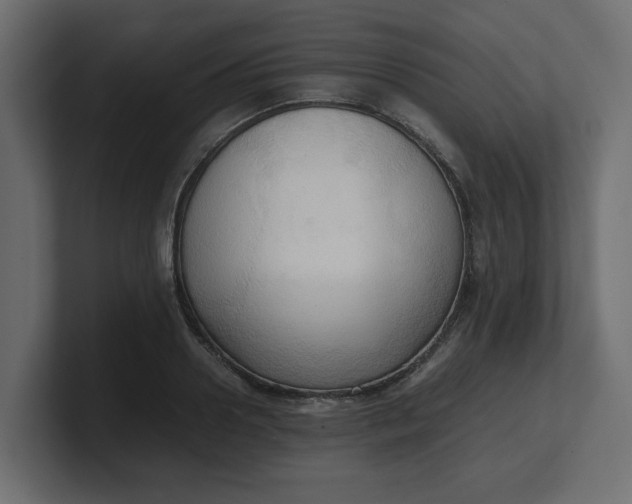 X0000100480938200806271159