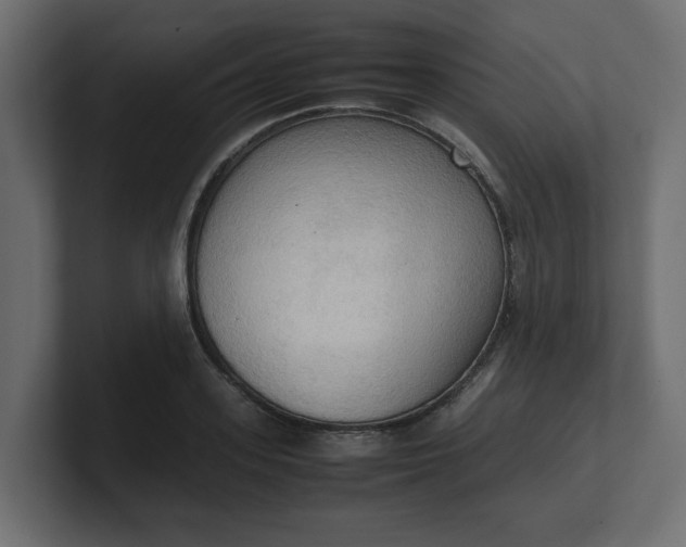 X0000100480939200806271159