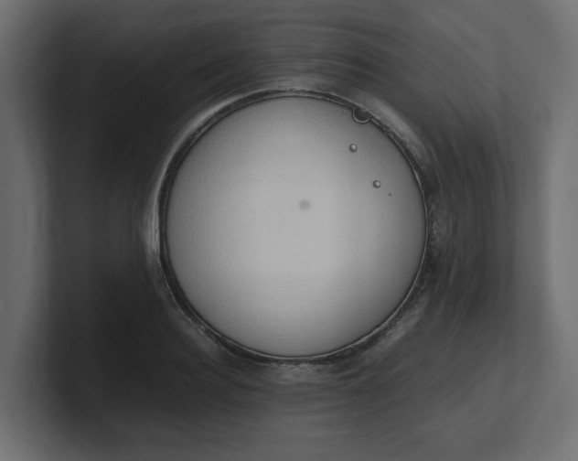X0000100480940200806271159