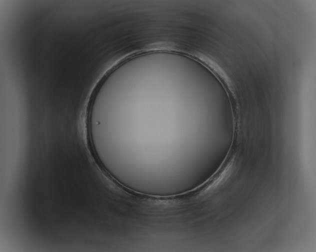 X0000100480941200806271159