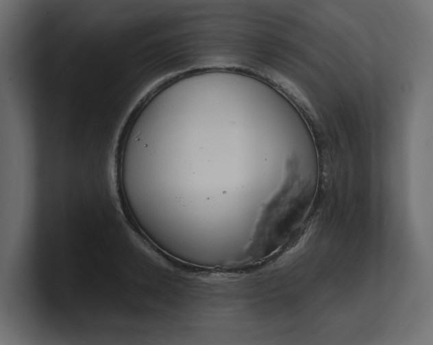 X0000100480942200806271159