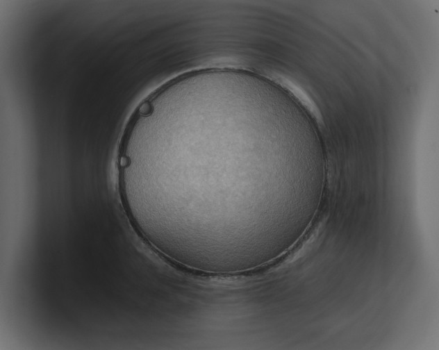 X0000100480944200806271159